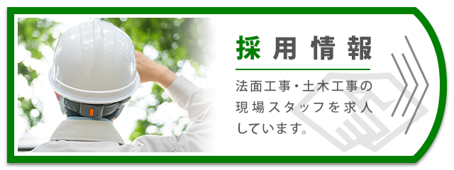 採用情報
